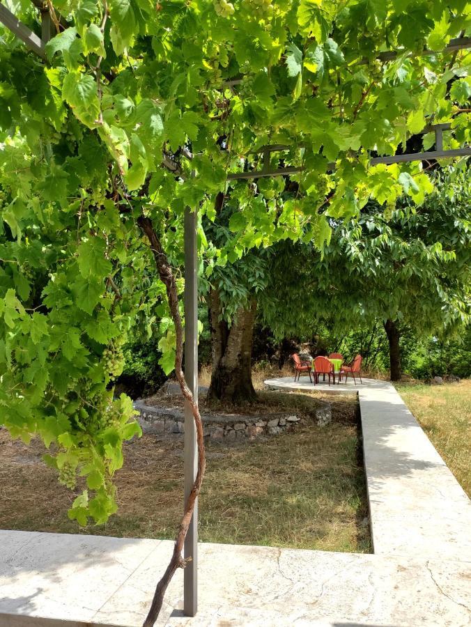 Celtis Shade House Villa Virpazar Bagian luar foto